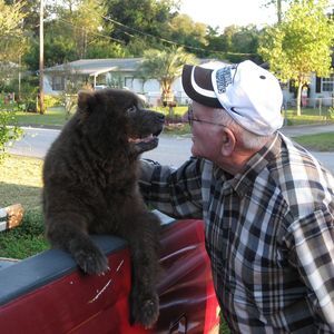 Meet your Posher, Melvin